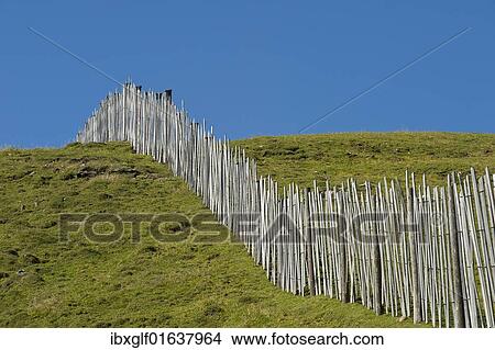 "Fence at the Mt. Kitzbueheler Horn, Tyrol, Austria, Europe" View Large Photo Image Picture - "Fence at the Mt. Kitzbueheler Horn, Tyrol, Austria, Europe". Fotosearch
