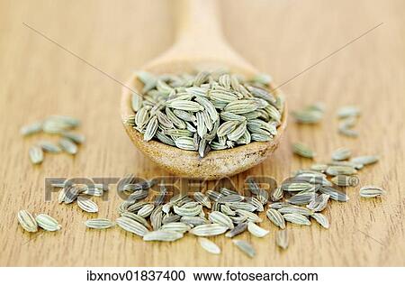 Fennel seeds on wooden spoon View Large Photo Image Stock Image - Fennel seeds on wooden spoon. Fotosearch