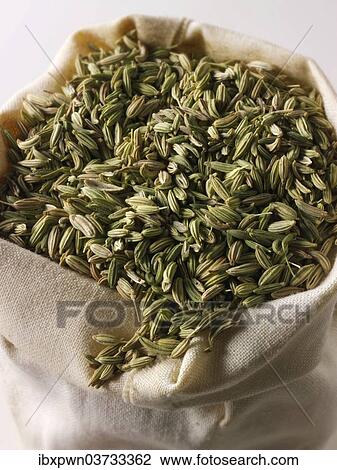 Fennel seeds View Large Photo Image Stock Image - Fennel seeds. Fotosearch