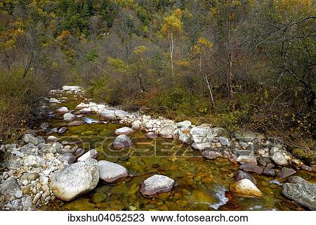 "Ferruginous river in the Zhouzi Nature Reserve, Qinling Mountains, Shaanxi Province, China, Asia" View Large Photo Image Stock Image - "Ferruginous river in the Zhouzi Nature Reserve, Qinling Mountains, Shaanxi Province, China, Asia". Fotosearch