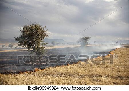 Picture - "Field fire in eastern Anatolia, Turkey, Asia". Fotosearch