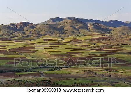 "Field landscape in Gercus, Batman Province, Tur Abdin, Southeastern Anatolia Region, Anatolia, Turkey, Asia" View Large Photo Image Stock Image - "Field landscape in Gercus, Batman Province, Tur Abdin, Southeastern Anatolia Region, Anatolia, Turkey, Asia". Fotosearch