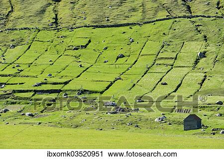 "Fields and rocks, barn at front, Gjogv, Eysturoy, Faroe Islands, Denmark, Europe" View Large Photo Image Stock Image - "Fields and rocks, barn at front, Gjogv, Eysturoy, Faroe Islands, Denmark, Europe". Fotosearch