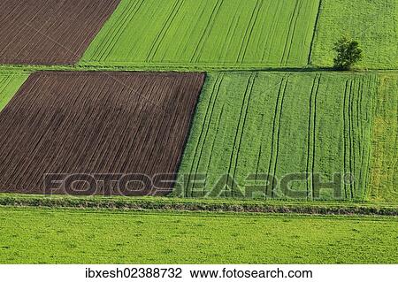 "Fields, Beilngries, Altmuehltal valley, Bavaria, Germany, Europe" View Large Photo Image Stock Image - "Fields, Beilngries, Altmuehltal valley, Bavaria, Germany, Europe". Fotosearch