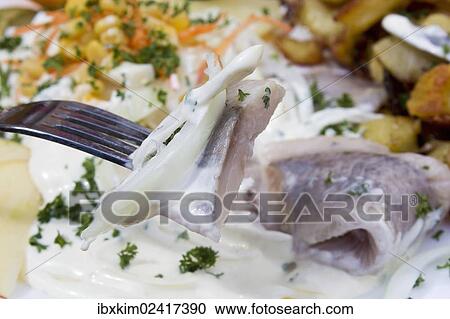 "Filets of herring with apples, onions and pineapple, yogurt dressing and fried potatoes" View Large Photo Image Stock Image - "Filets of herring with apples, onions and pineapple, yogurt dressing and fried potatoes". Fotosearch
