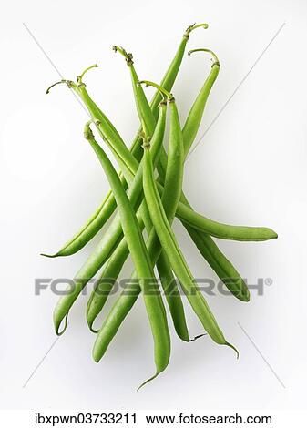 Fine beans View Large Photo Image Stock Image - Fine beans. Fotosearch