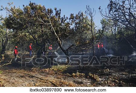 "Fire brigade putting out a bush fire, near Melides, Alentejo region, Portugal, Europe" View Large Photo Image Stock Image - "Fire brigade putting out a bush fire, near Melides, Alentejo region, Portugal, Europe". Fotosearch