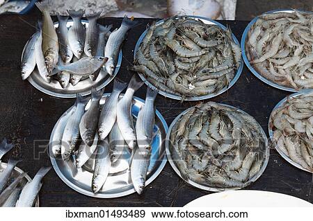 Stock Photo - "Fish and tiger prawns, king prawns, fish market, Kochi, Fort Cochin, Kerala, South India, South Asia". Fotosearch