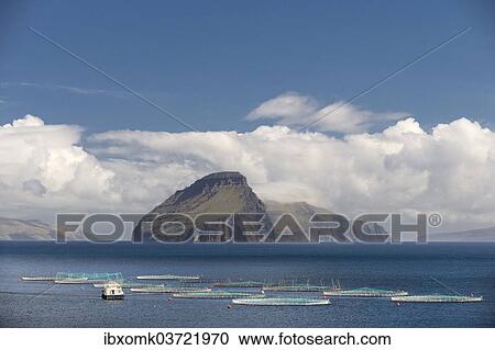 "Fish farm, clouds and sea, in front of the smallest inhabited island of the Faroe Islands, Koltur, Utoyggjar, Faroe Islands, Denmark, Europe" View Large Photo Image Stock Image - "Fish farm, clouds and sea, in front of the smallest inhabited island of the Faroe Islands, Koltur, Utoyggjar, Faroe Islands, Denmark, Europe". Fotosearch