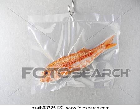 Fish in a vacuum bag View Large Photo Image Stock Image - Fish in a vacuum bag. Fotosearch