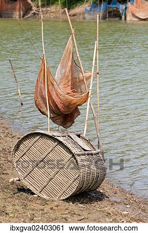 "Fish trap made of bamboo and a fishing net on the Sangkae river, Battambang, Cambodia, Southeast Asia, Asia" View Large Photo Image Stock Image - "Fish trap made of bamboo and a fishing net on the Sangkae river, Battambang, Cambodia, Southeast Asia, Asia". Fotosearch