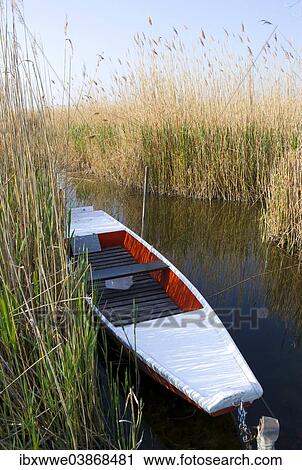 "Fishing boat in the reeds on Lake Neusiedl, Morbisch am See, Burgenland, Austria, Europe" View Large Photo Image Stock Image - "Fishing boat in the reeds on Lake Neusiedl, Morbisch am See, Burgenland, Austria, Europe". Fotosearch