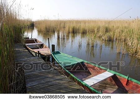 "Fishing boat in the reeds on Lake Neusiedl, Morbisch am See, Burgenland, Austria, Europe" View Large Photo Image Stock Photography - "Fishing boat in the reeds on Lake Neusiedl, Morbisch am See, Burgenland, Austria, Europe". Fotosearch