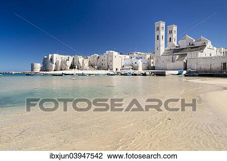 "Fishing boats in the harbor, historic centre, Romanesque Old Cathedral, San Corrado and Torrione Passari, Molfetta, Bari Province, Apulia, Italy, Europe" View Large Photo Image Stock Image - "Fishing boats in the harbor, historic centre, Romanesque Old Cathedral, San Corrado and Torrione Passari, Molfetta, Bari Province, Apulia, Italy, Europe". Fotosearch