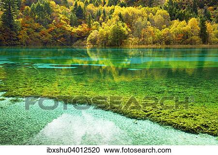 Stock Image - "Five Flower Lake in autumnal environment, Jiuzhaigou National Park, UNESCO World Heritage Site, Sichuan Province, China, Asia". Fotosearch