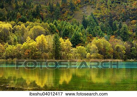 Stock Photo - "Five Flower Lake in autumnal environment, Jiuzhaigou National Park, UNESCO World Heritage Site, Sichuan Province, China, Asia". Fotosearch