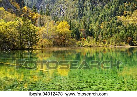 "Five Flower Lake in autumnal environment, Jiuzhaigou National Park, UNESCO World Heritage Site, Sichuan Province, China, Asia" View Large Photo Image Stock Photo - "Five Flower Lake in autumnal environment, Jiuzhaigou National Park, UNESCO World Heritage Site, Sichuan Province, China, Asia". Fotosearch