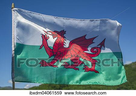 "Flag of Wales, Cardiff, Wales, United Kingdom, Europe" View Large Photo Image Stock Photo - "Flag of Wales, Cardiff, Wales, United Kingdom, Europe". Fotosearch