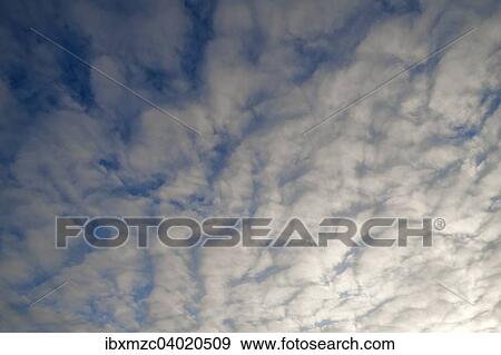 "Fleecy clouds, altocumulus, Germany, Europe" View Large Photo Image Stock Photo - "Fleecy clouds, altocumulus, Germany, Europe". Fotosearch