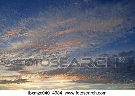 "Fleecy clouds, altocumulus, in the evening sky, Germany, Europe" View Large Photo Image Picture - "Fleecy clouds, altocumulus, in the evening sky, Germany, Europe". Fotosearch