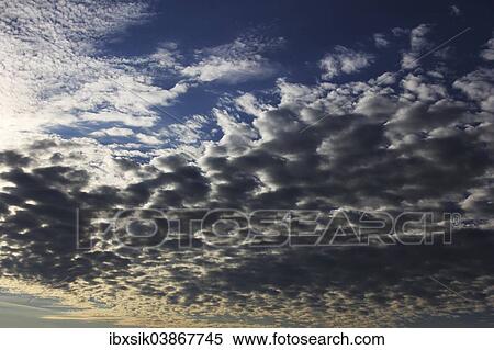 "Fleecy clouds, bank of clouds, Biberach an der Riss, Germany, Europe" View Large Photo Image Stock Photography - "Fleecy clouds, bank of clouds, Biberach an der Riss, Germany, Europe". Fotosearch