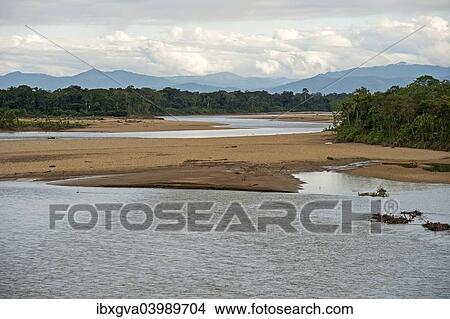 Picture - "Flooded areas on the banks of the Tambopata River, Tambopata Nature Reserve, Madre de Dios region, Peru, South America". Fotosearch