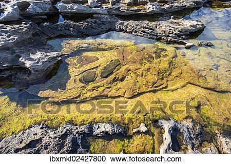 "Flooded rock on the Moray Firth at Tarbat Ness, Scotland, United Kingdom, Europe" View Large Photo Image Stock Image - "Flooded rock on the Moray Firth at Tarbat Ness, Scotland, United Kingdom, Europe". Fotosearch