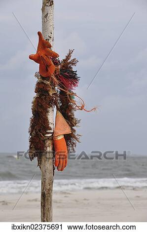 "Flotsam and jetsam, Amrum island, North Sea beach, Schleswig-Holstein, Germany, Europe" View Large Photo Image Stock Image - "Flotsam and jetsam, Amrum island, North Sea beach, Schleswig-Holstein, Germany, Europe". Fotosearch