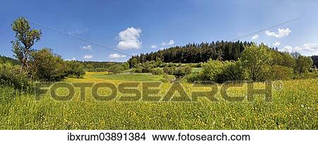 "Flower meadow in Morsbachtal valley, """"Ritter- und Romerweg"""", trail of the """"Knights and the Romans"""" near Emsing, Titting, Altmuhltal Nature Park, Bavaria, Germany, Europe" View Large Photo Image Picture - "Flower meadow in Morsbachtal valley, """"Ritter- und Romerweg"""", trail of the """"Knights and the Romans"""" near Emsing, Titting, Altmuhltal Nature Park, Bavaria, Germany, Europe". Fotosearch