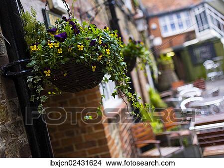 Picture - "Flowers adorning the outside of a cafe in the county of Wiltshire, England, United Kingdom, Europe". Fotosearch