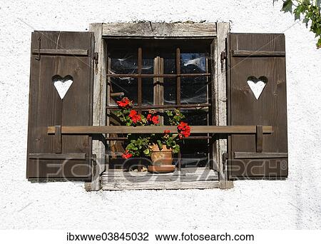 "Flowers window with geraniums, farmhouse, Mondsee, Salzkammergut, Upper Austria, Austria, Europe" View Large Photo Image Stock Image - "Flowers window with geraniums, farmhouse, Mondsee, Salzkammergut, Upper Austria, Austria, Europe". Fotosearch