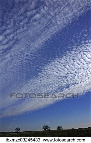 "Fluffy clouds or cirrocumulus clouds, Bentin, Rognitz, Mecklenburg-Western Pomerania, Germany, Europe" View Large Photo Image Stock Image - "Fluffy clouds or cirrocumulus clouds, Bentin, Rognitz, Mecklenburg-Western Pomerania, Germany, Europe". Fotosearch