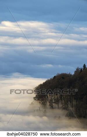 Stock Image - "Fog and a forest, Hohneck, Vosges, France, Europe". Fotosearch