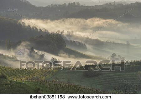 "Fog and farmhouses in the first morning light, Ratsch an der Weinstrasse, Styria, Austria, Europe" View Large Photo Image Stock Photo - "Fog and farmhouses in the first morning light, Ratsch an der Weinstrasse, Styria, Austria, Europe". Fotosearch