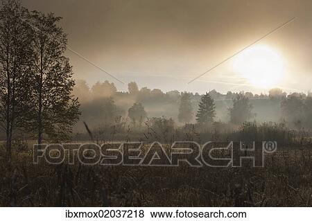 "Fog on Lake Staffelsee, Seehausen, Murnau, Upper Bavaria, Bavaria, Germany, Europe, PublicGround, Europe" View Large Photo Image Stock Photo - "Fog on Lake Staffelsee, Seehausen, Murnau, Upper Bavaria, Bavaria, Germany, Europe, PublicGround, Europe". Fotosearch