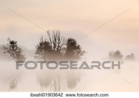 Stock Image - "Fog on the Danube, Ingolstadt, Bavaria, Germany, Europe". Fotosearch