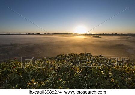 "Fog over dunes and heathland at sunrise, Henne, Region of Southern Denmark, Denmark, Europe" View Large Photo Image Picture - "Fog over dunes and heathland at sunrise, Henne, Region of Southern Denmark, Denmark, Europe". Fotosearch
