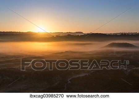 "Fog over dunes and heathland at sunrise, Henne, Region of Southern Denmark, Denmark, Europe" View Large Photo Image Stock Image - "Fog over dunes and heathland at sunrise, Henne, Region of Southern Denmark, Denmark, Europe". Fotosearch