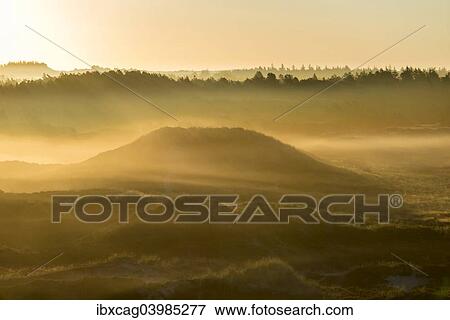 "Fog over dunes and heathland at sunrise, Henne, Region of Southern Denmark, Denmark, Europe" View Large Photo Image Stock Photo - "Fog over dunes and heathland at sunrise, Henne, Region of Southern Denmark, Denmark, Europe". Fotosearch