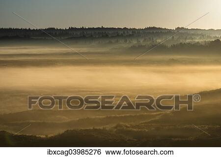 "Fog over dunes and heathland at sunrise, Henne, Region of Southern Denmark, Denmark, Europe" View Large Photo Image Stock Photograph - "Fog over dunes and heathland at sunrise, Henne, Region of Southern Denmark, Denmark, Europe". Fotosearch