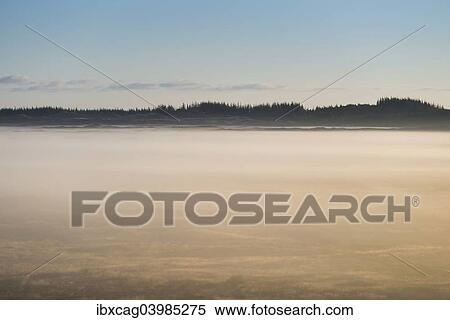 "Fog over dunes and heathland, Henne, Region of Southern Denmark, Denmark, Europe" View Large Photo Image Stock Photography - "Fog over dunes and heathland, Henne, Region of Southern Denmark, Denmark, Europe". Fotosearch