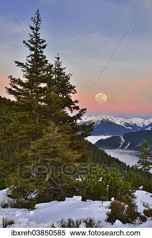 "Fog over Zillertal Valley, Zillertal Alps at the back, moonrise from Loassattel, Schwaz, Tyrol, Austria, Europe" View Large Photo Image Stock Photography - "Fog over Zillertal Valley, Zillertal Alps at the back, moonrise from Loassattel, Schwaz, Tyrol, Austria, Europe". Fotosearch