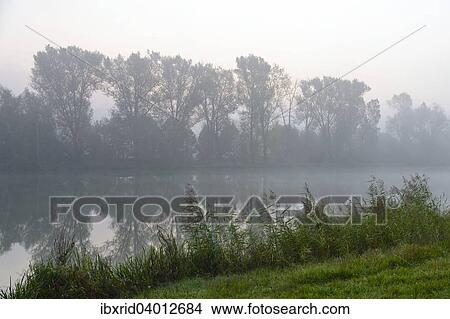 "Foggy morning on the Alter Rhein, Bislicher Insel, Xanten, North Rhine-Westphalia, Germany, Europe" View Large Photo Image Picture - "Foggy morning on the Alter Rhein, Bislicher Insel, Xanten, North Rhine-Westphalia, Germany, Europe". Fotosearch