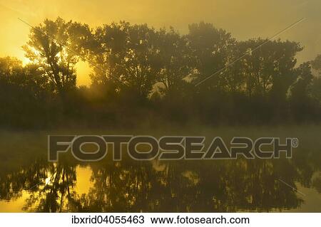 "Foggy Sunrise behind trees on the Old Rhine, Bislicher Insel, Xanten, Niederrhein, North Rhine-Westphalia, Germany, Europe" View Large Photo Image Stock Image - "Foggy Sunrise behind trees on the Old Rhine, Bislicher Insel, Xanten, Niederrhein, North Rhine-Westphalia, Germany, Europe". Fotosearch