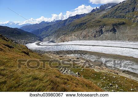 "Foothills of the Great Aletsch Glacier, Canton of Valais, Goms, Switzerland, Europe" View Large Photo Image Stock Photo - "Foothills of the Great Aletsch Glacier, Canton of Valais, Goms, Switzerland, Europe". Fotosearch