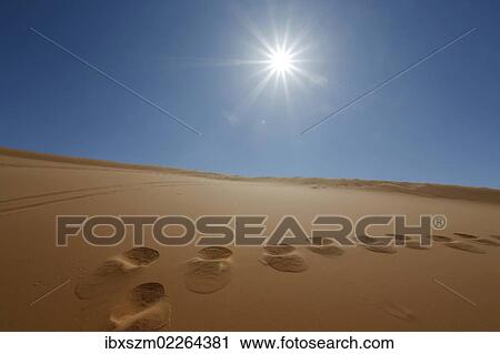 "Footprints in the sand and the sun at Coral Pink Sand Dunes State Park, Utah, USA" View Large Photo Image Stock Image - "Footprints in the sand and the sun at Coral Pink Sand Dunes State Park, Utah, USA". Fotosearch