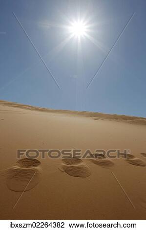 "Footprints in the sand and the sun at Coral Pink Sand Dunes State Park, Utah, USA" View Large Photo Image Stock Image - "Footprints in the sand and the sun at Coral Pink Sand Dunes State Park, Utah, USA". Fotosearch