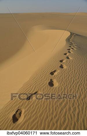 "Footprints on a dune in the Nubian Desert in Dongola, Northern, Nubia, Sudan, Africa" View Large Photo Image Stock Image - "Footprints on a dune in the Nubian Desert in Dongola, Northern, Nubia, Sudan, Africa". Fotosearch