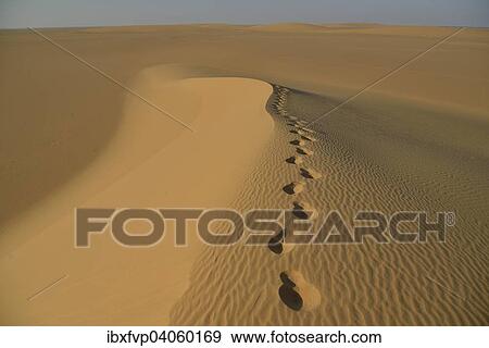 "Footprints on a dune in the Nubian Desert in Dongola, Northern, Nubia, Sudan, Africa" View Large Photo Image Stock Photo - "Footprints on a dune in the Nubian Desert in Dongola, Northern, Nubia, Sudan, Africa". Fotosearch