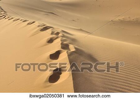 "Footprints on sand dune, desert of Erg Chebbi, Morocco, Africa, PublicGround, Africa" View Large Photo Image Stock Image - "Footprints on sand dune, desert of Erg Chebbi, Morocco, Africa, PublicGround, Africa". Fotosearch